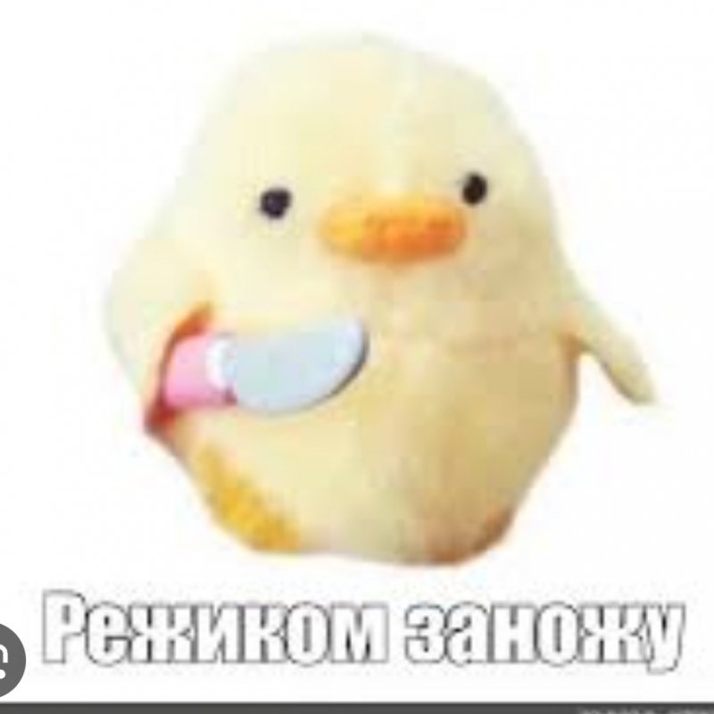 Иэясу Левченава (@illevch) • Neobook